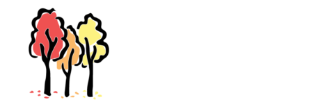 Callowie Poll Merinos