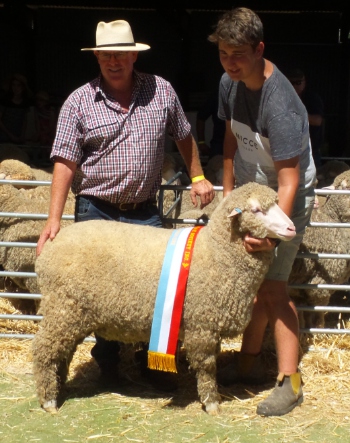 Mundulla Show GC Ewe Champion Strong Wool Ewe & Grand Champion Ewe - Mundulla Show 2017