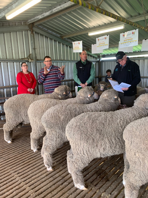 Ram sale 3 - sale shed 2019 Callowie On Property Ram Sale