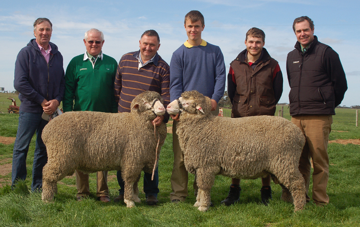 2015 Top price buyers Nutt Wags 2015 Top Price Callowie Rams