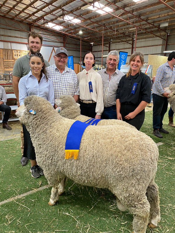 The Glendonald Trophy - Wimmera Autumn Merino Sheep Show