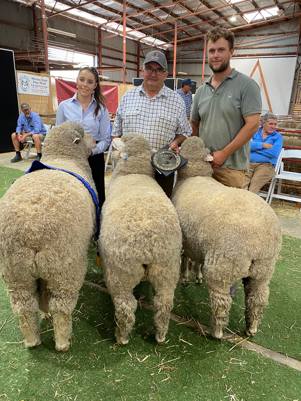 Koole Vale Group of 3 - Wimmera Autumn Merino Sheep Show