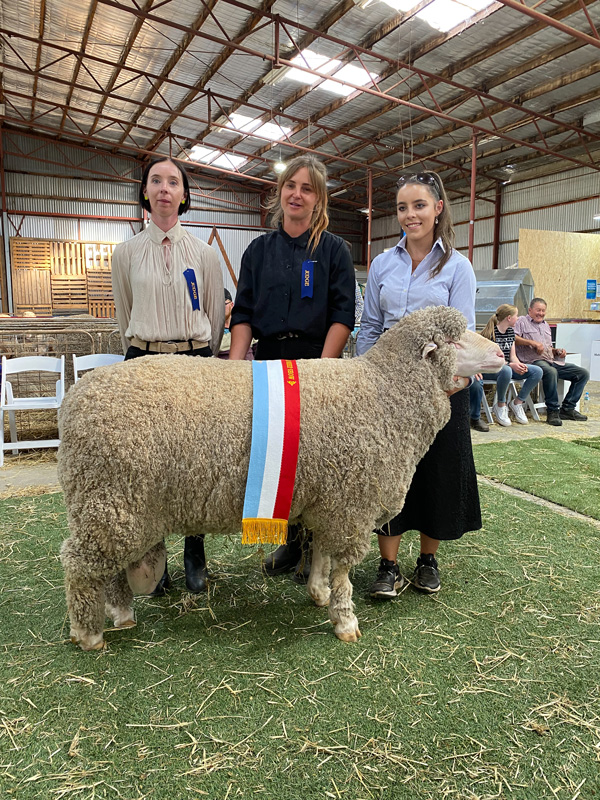 Grand Champion Ram - Callowie 20-0100 - Wimmera Autumn Merino Sheep Show