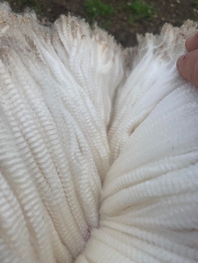website Dudley fleece website Dudley fleece