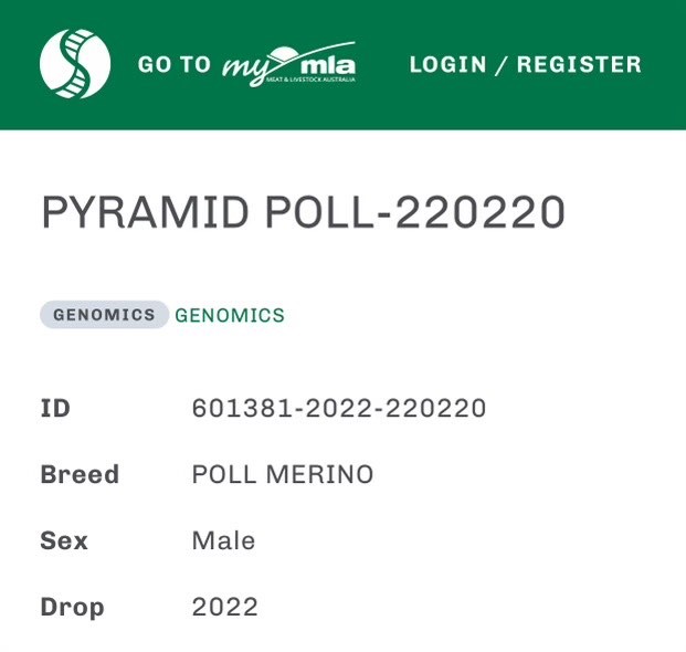 Pyramid Poll MLA info