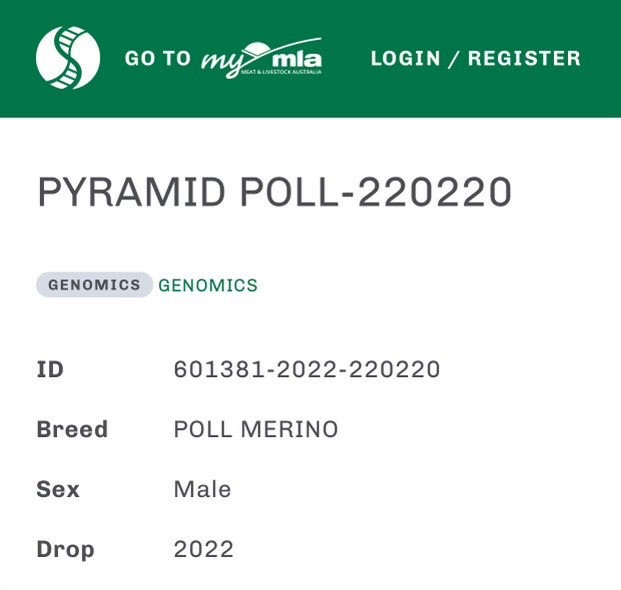Pyramid Poll MLA info Pyramid Poll MLA info